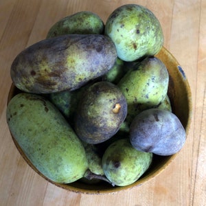 May include: A bowl filled with pawpaws, a North American fruit. The pawpaws have green and brown skin with irregular shapes. Some are oval, while others are round. The bowl is a light brown color.