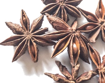 Star Anise (Illicium verum) Pods, Dried, 1 oz (28 g) by Smoke Camp Crafts