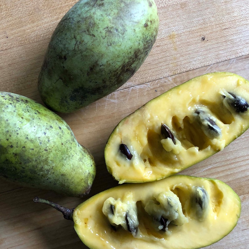 May include: Three green pawpaw fruits, one cut open to reveal yellow flesh and dark seeds, rest on a wooden surface. The pawpaws have a speckled appearance, with a mix of green and brown hues.
