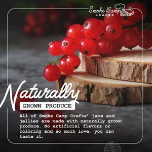 Currant Jelly, Gourmet Jelly, Made with Red Currants, Homemade & All Natural, Small Jelly Jar for Gift, 5 Oz (142 grams) - Smoke Camp Crafts