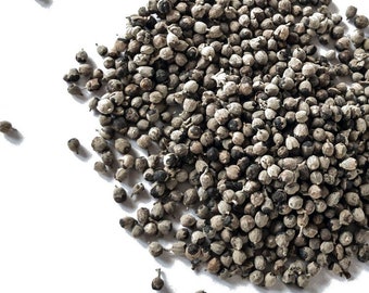 Organic Chaste Tree Seeds (Vitex agnus-castus L.) 50 Seeds (0.5 gram) by Smoke Camp Crafts