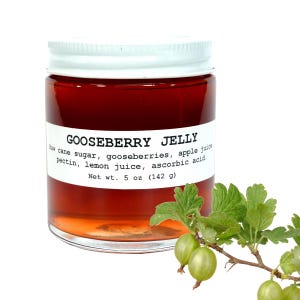 Organic Seedless Gooseberry Jelly - 5 oz - Craft, Gourmet, Unusual Jams & Jellies Made in West Virginia by Smoke Camp Crafts