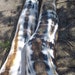 see more listings in the Yoga Leggings section