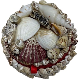 May include: A round decorative box covered in a variety of seashells in shades of white, cream, tan, and deep maroon. The lid features a dense arrangement of spiral and bivalve shells, while a bright red ribbon tab is visible at the base.