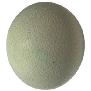 May include: A spherical object with a pale, light green surface featuring a distinct, fine-grained, and slightly pitted texture. The item has a uniform, rounded shape with subtle variations in color intensity across its matte exterior finish.