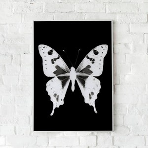 Monochrome butterfly wall art, butterfly poster, butterfly print, wildlife gifts, swallowtail butterfly print, photogram print