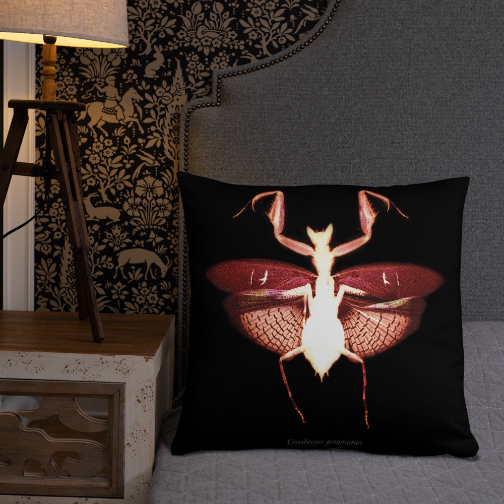 GOTHIC CUSHION COVER Gothic Couch Cushion Decorative Pillow | Etsy UK