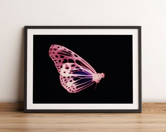 Colourful butterfly print, Moth Print, Vintage Butterfly Prints, Moth poster, Natural History Art, Butterfly Art, Butterfly, Vintage Poster