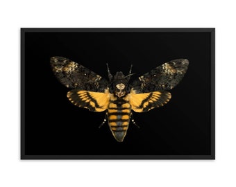 Deathshead Hawk-moth, Fotografía macro, Acherontia Atropos, Polilla Póster