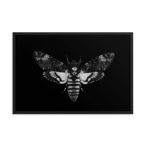 Deaths head hawk moth wall art print, moth art, moth poster, acherontia atropos, skull moth print