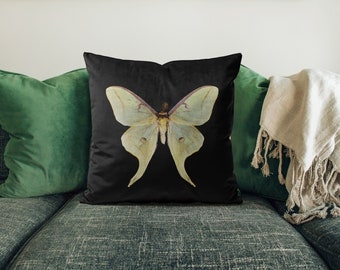 Luna moth, moon moth cushion,  Gothic Home Decor, throw cushion,, Dark Academia, Taxidermy Cushion, Botanical Insects 18"x18" Square