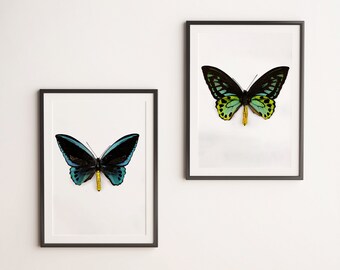 Set of 2 butterflies prints, Butterfly wall art, butterfly art, nursery art print, above the bed decor, boho chic decor, butterfly poster