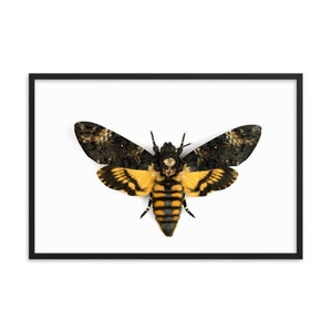 Deathshead Hawk-moth art print, acherontia atropos, , skull moth prints, moth art