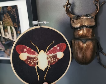 Lanternfly embroidery hoop, wall art, alternative photography