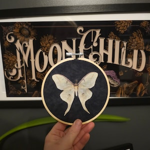 Luna moth embroidery hoop, wall art, alternative photography