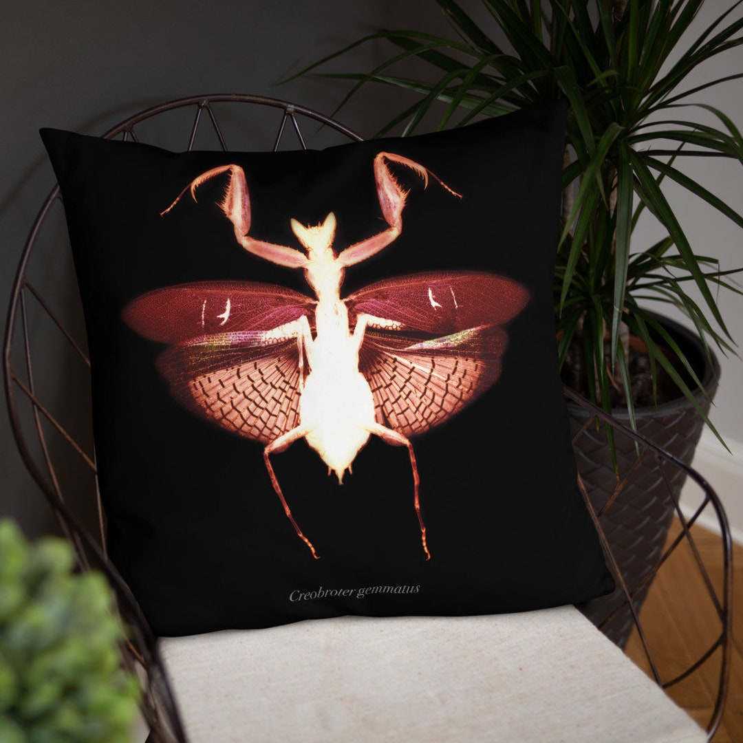 GOTHIC CUSHION COVER, Gothic Couch Cushion, Decorative Pillow, Insect ...