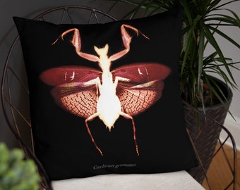 GOTHIC CUSHION COVER, gothic couch cushion, decorative pillow, insect cushion, accent cushion, curiosity home decor