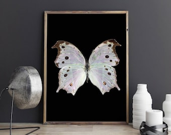 Impresión de arte de mariposa de nácar del bosque, impresiones de mariposas, arte de mariposas, cartel de entomología, decoración de la naturaleza
