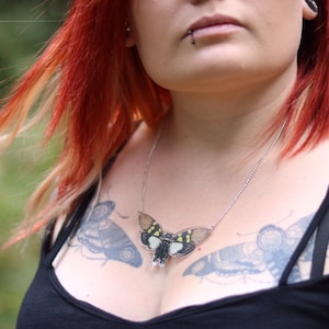 cicada necklace, entomology, acrylic jewellery, alternative, gifts for her, statement necklace, pendent, quirky jewelry, zoology gift