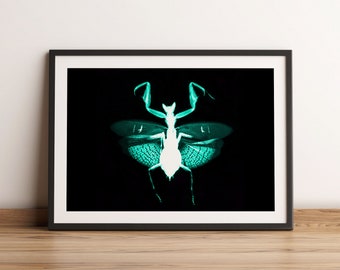 Retro Flower Mantis Print / Retro Insectos / Retro Print / Ilustración colorida / Decoración de insectos / Dormitorio / A5-A4-A3