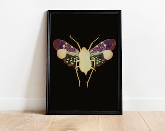 Colourful butterfly print, Moth Print, Vintage Butterfly Prints, Moth poster, Natural History Art, Butterfly Art, Butterfly, Vintage Poster