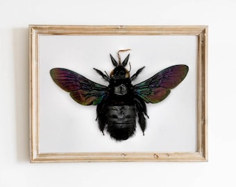 Carpenter Bee, Boho Art Print, Gothic Home Decor, Nature Print, Large Wall Art Prints, Gothic Art, Neutral Wall Decor, Bee Prints