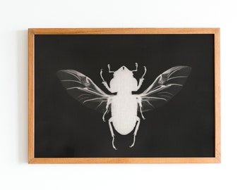 Impresión monocromática de escarabajo, decoración goblincore, arte de pared de cabaña oscura, botánico cambiante, arte de academia de brujas, cartel maximalista, gótico moderno