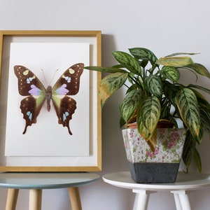 swallowtail butterfly print, butterfly art, butterfly poster, kids room decor, nature art, nursery wall art image 1