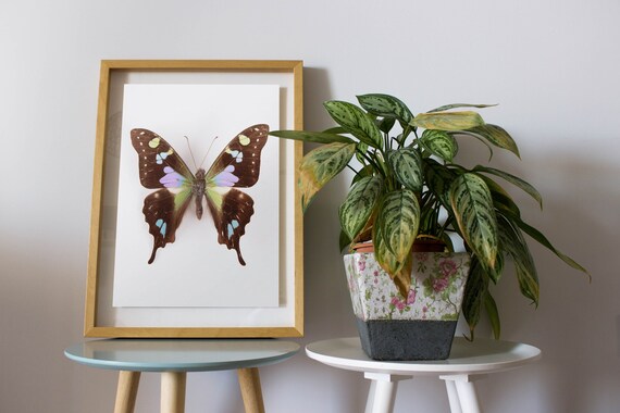 swallowtail butterfly print, butterfly art, butterfly poster, kids room decor, nature art, nursery wall art