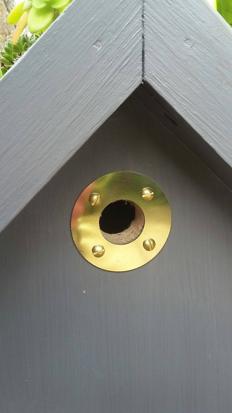 Bird House Nest Box Hole Protector Lasercut Brass Various | Etsy