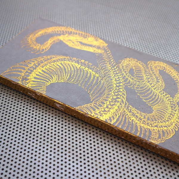 Snake Skeleton Plaque gold & gray OOAK handmade wood block photo vintage Gothic anatomy poster print wall desk art viper decor taxidermy