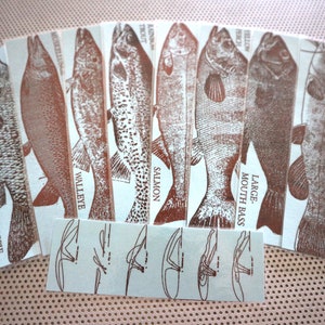 Fisch Lesezeichen Set 9 Fliegenfischer Angelzubehör