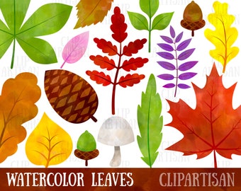 Watercolor Fall Leaves Clipart, Autumn Floral Clip Art