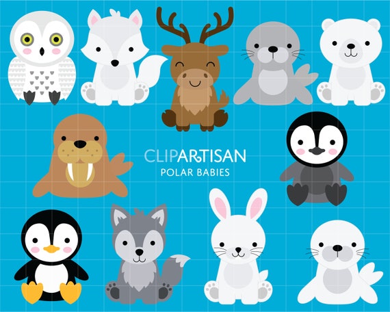 Arctic Baby Animals Clipart / Ours polaire / Pingouin