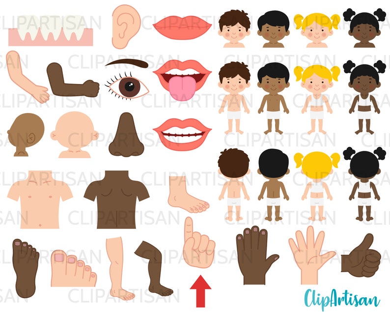Body Parts Clipart Senses Anatomy Clip Art Human Body PNG Instant ...
