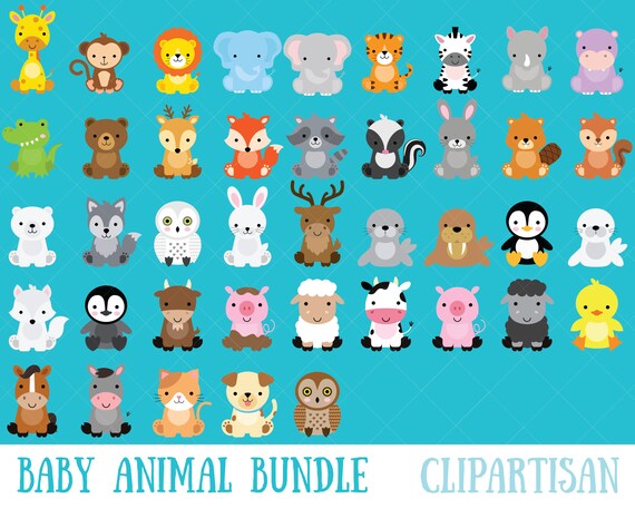 Baby Animal Clipart Bundle Safari Animals Woodland Animals Etsy Baby Animal Clipart Bundle Safari Animals Woodland Animals Etsy