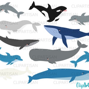 May include: A set of ten cartoon illustrations of various sea creatures, including a whale, a dolphin, a narwhal, and an orca. The illustrations are in a whimsical style with bright colours and simple lines.