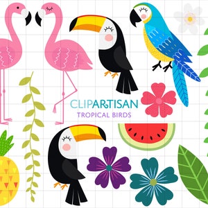 Tropical Clipart, Tropical Birds Clip Art, Tropical Summer, Flamingo, Toucan, Parrot