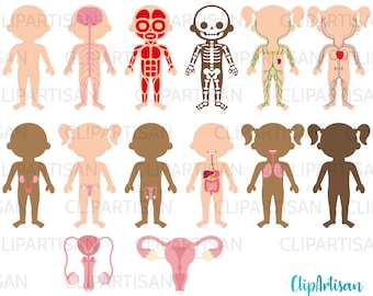 Human Body Systems Anatomy Clipart PNG Instant Download 0031 - Etsy Finland