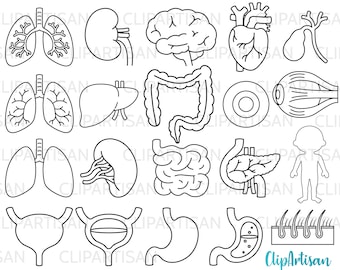 May include: Black and white line drawings of various human organs, including the lungs, kidneys, brain, heart, gallbladder, liver, intestines, eye, pancreas, skin, bladder, stomach, and a silhouette of a person.
