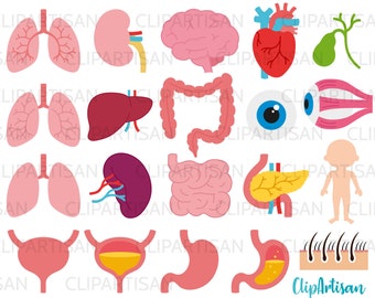 Body Organs Clipart Digital Clip Art Human Body PNG SVG | Etsy India