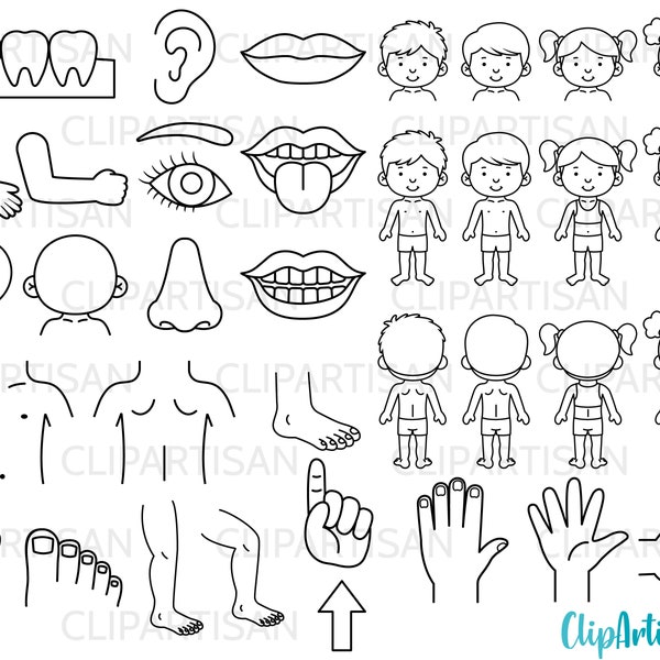 Körperteile Clipart Sinne Anatomie Clip Art Mensch Körper PNG SVG Sofort Download 0029