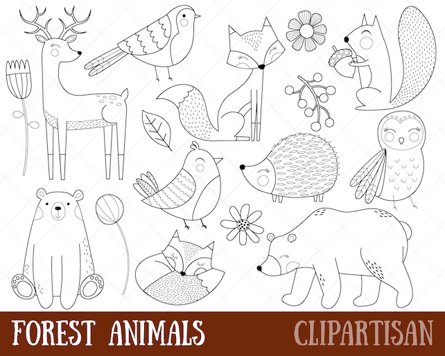 Woodland Animals Clipart Digital Stamps Black And White Line