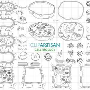 Cell Biology Clip Art, Cell Organelles Digital Stamps, Animal Cell Diagram, Plant Cell Coloring Sheet, Bacterium Clipart, PNG, SVG, 0059