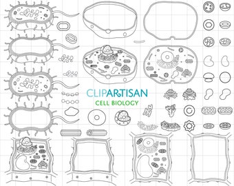 Cell Biology Clip Art, Cell Organelles Digital Stamps, Animal Cell Diagram, Plant Cell Coloring Sheet, Bacterium Clipart, PNG, SVG, 0059