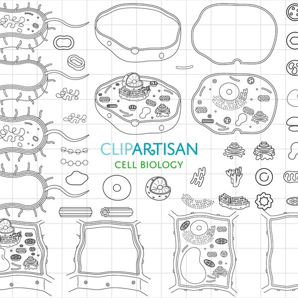 Cell Biology Clip Art, Cell Organelles Digital Stamps, Animal Cell Diagram, Plant Cell Coloring Sheet, Bacterium Clipart, PNG, SVG, 0059