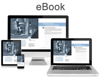 The Complete Kickstarter Playbook: in E-book form.