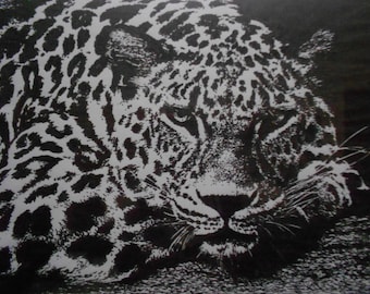 Medida b & w dibujos plumilla color de OR