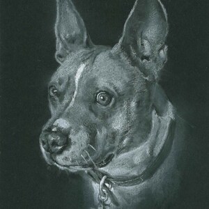 NOSTALGIC PET PORTRAITS - in white charcoal on black paper