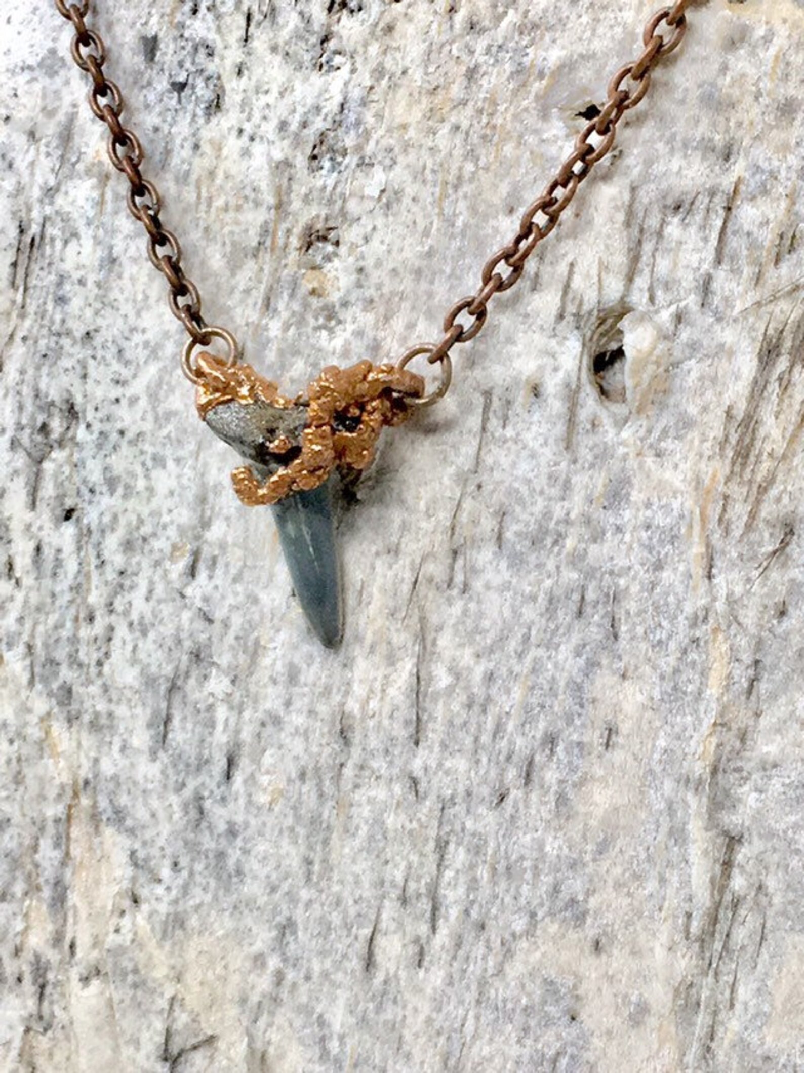Collier en dents de requin véritable pendentif en dent de Etsy France